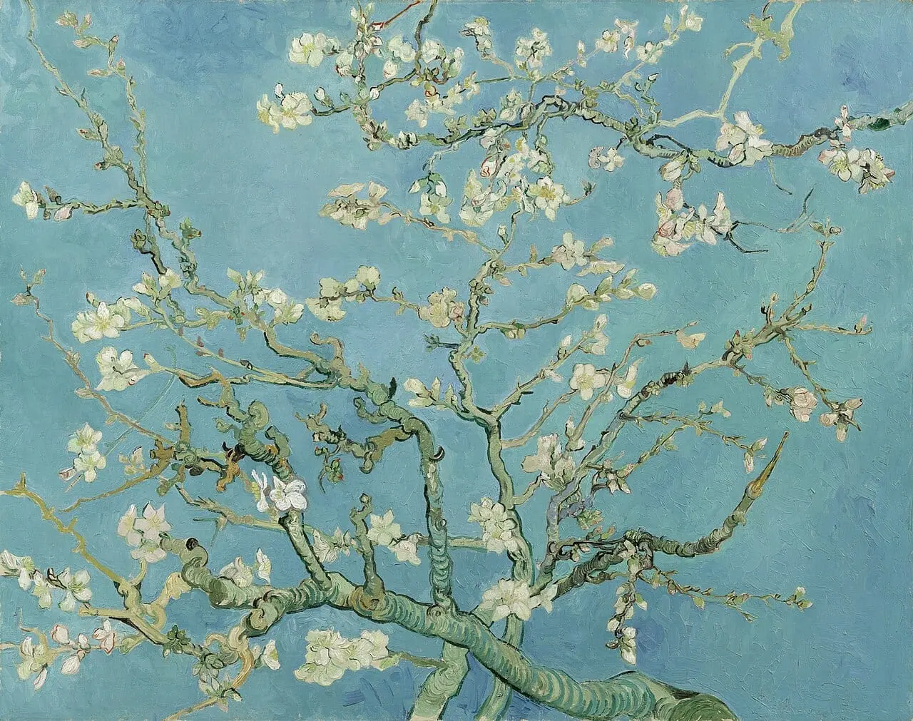 Almond blossom by Vincent van Gogh, canvas print