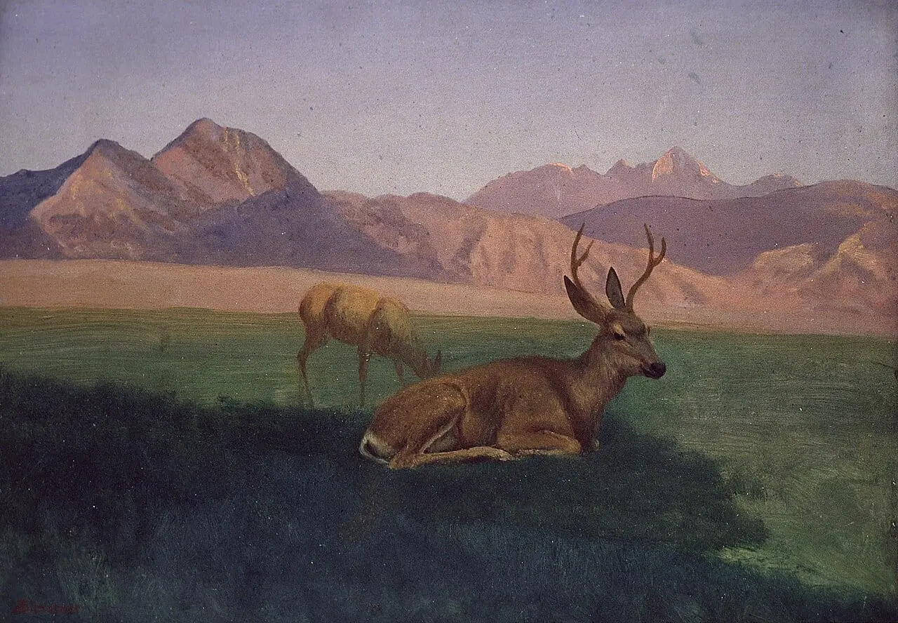 Deer by Albert Bierstadt, canvas print