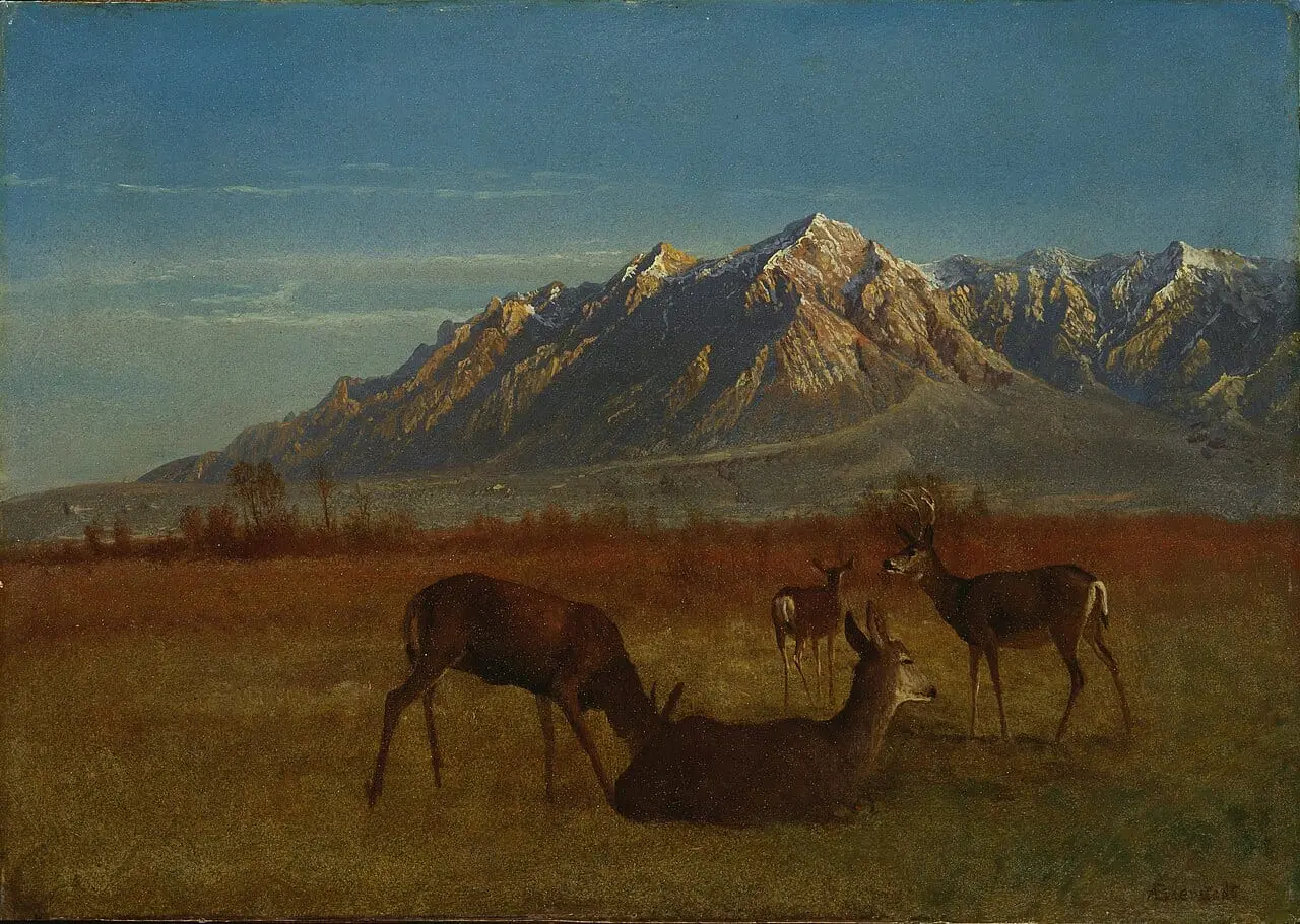 Deer in Mountain Home by Albert Bierstadt, canvas print