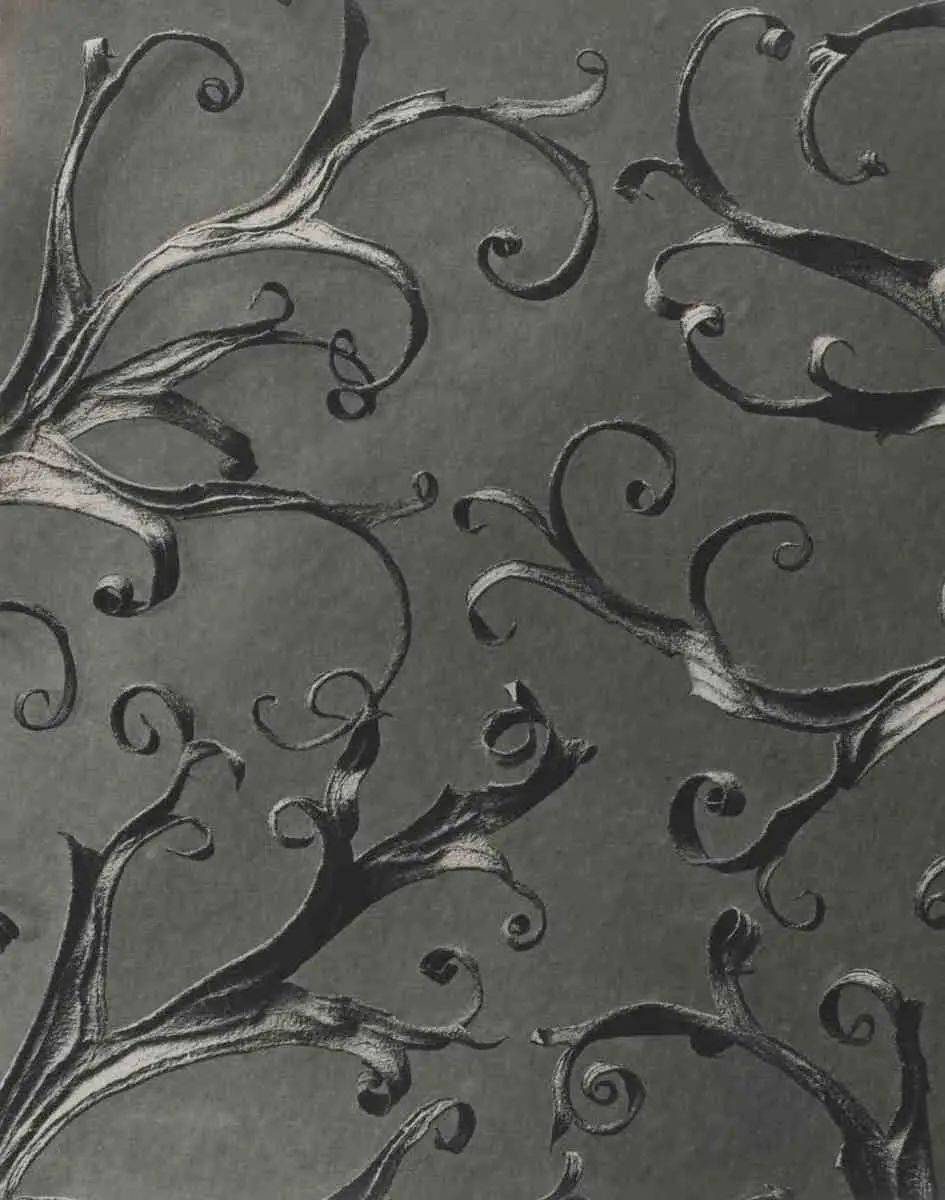 Delphinium by Karl Blossfeldt, canvas print