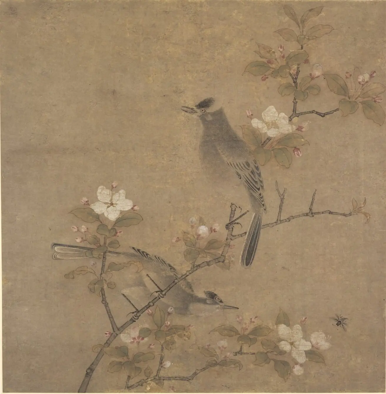 Flowers and Birds by Qian Xuan, canvas print
