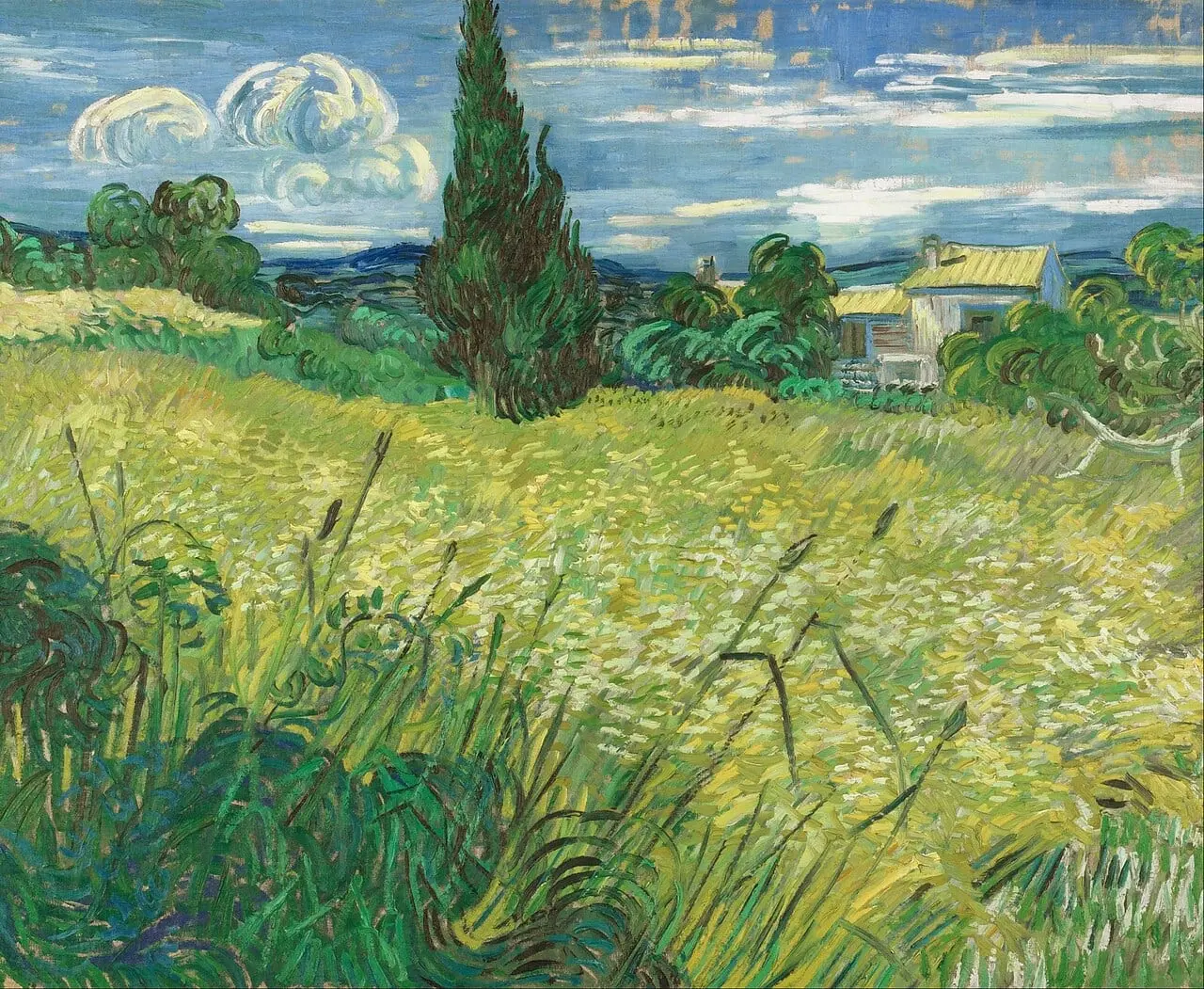Green Field by Vincent van Gogh, canvas print