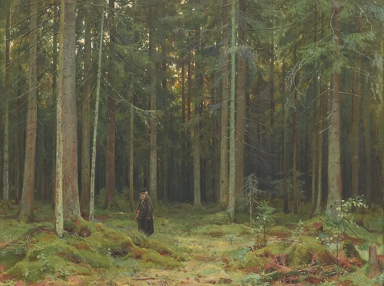 In the Forest of Countess Mordvinova, Peterhof by Ivan Shishkin, canvas print