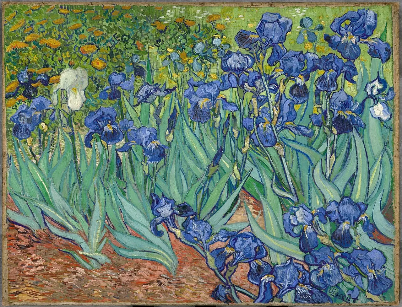 Irises by Vincent van Gogh, canvas print