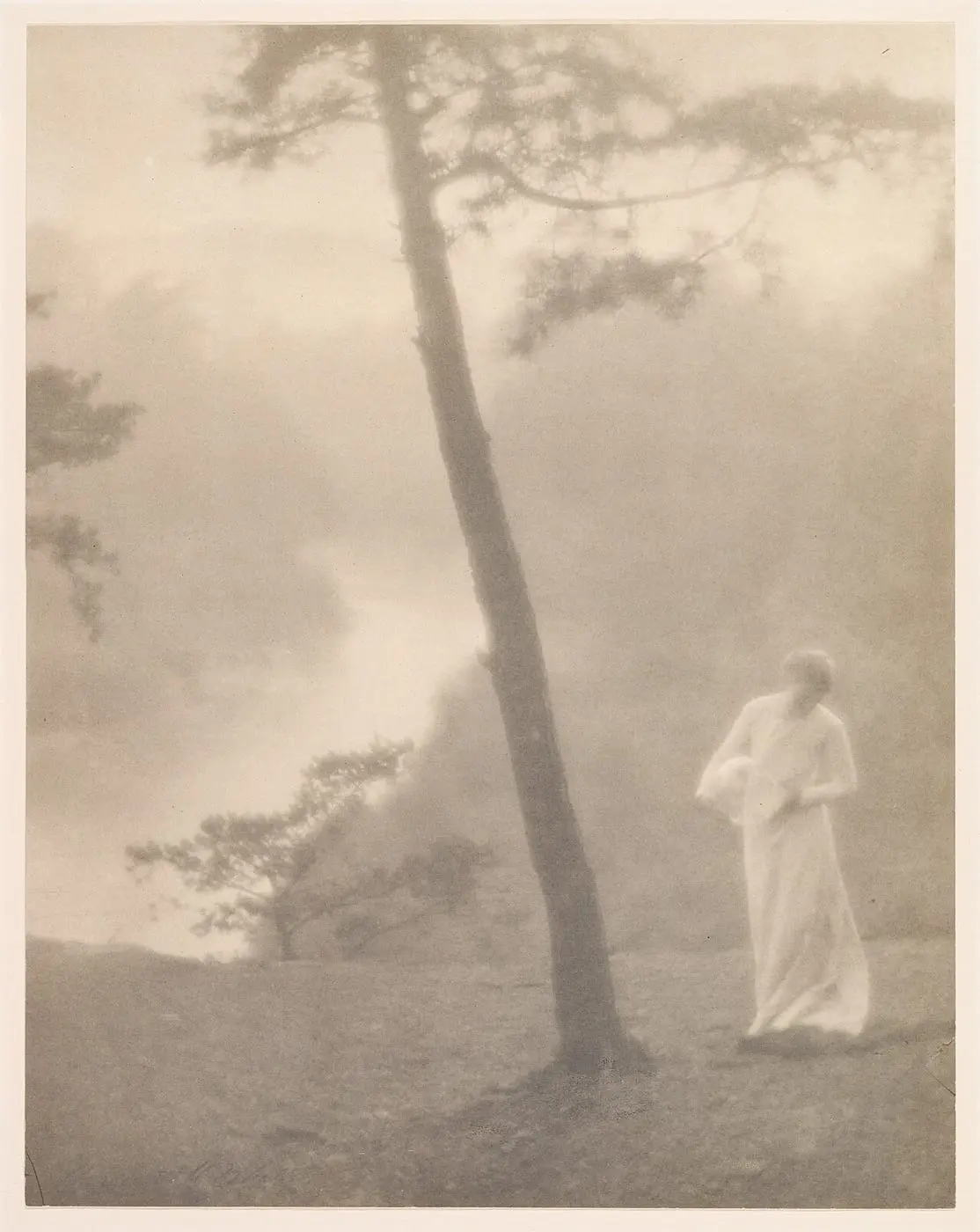 Morning by Clarence H. White, canvas print