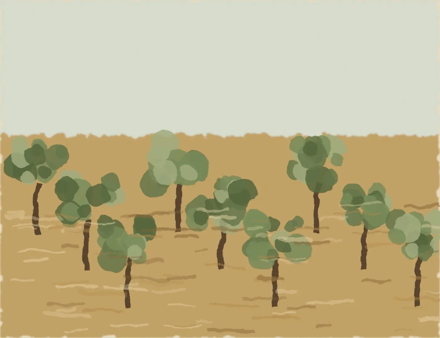 Olive Grove by Amelia Studio, canvas print