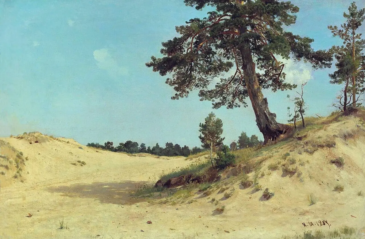 Pine on sand by Ivan Shishkin, canvas print