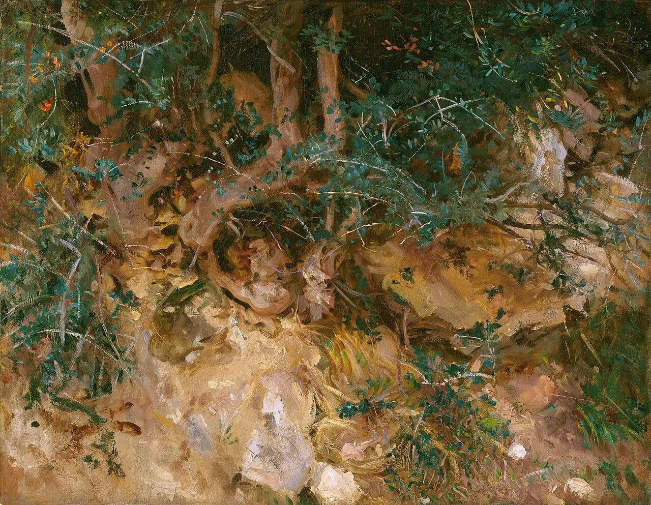 Valdemosa, Majorca: Thistles and Herbage on a Hillside by John Singer Sargent, canvas print