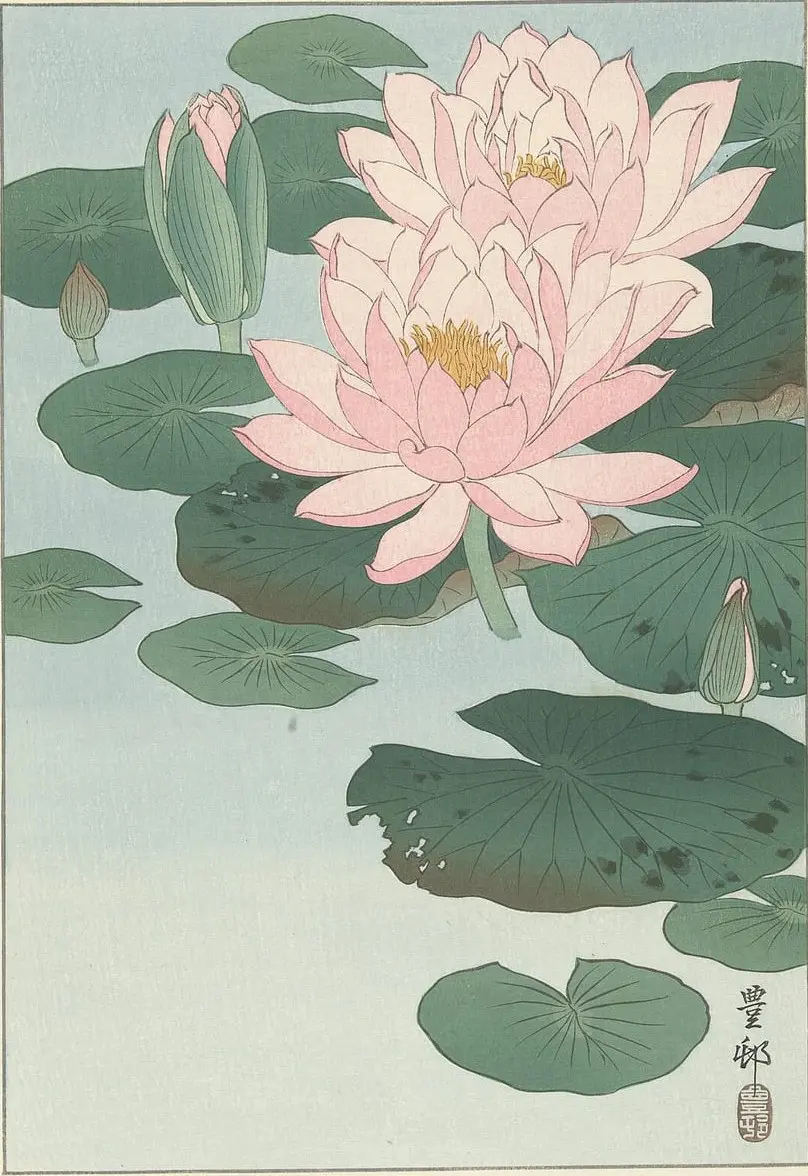 Waterlelies by Ohara Koson, canvas print